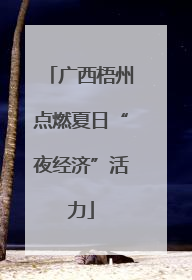 广西梧州点燃夏日“夜经济”活力