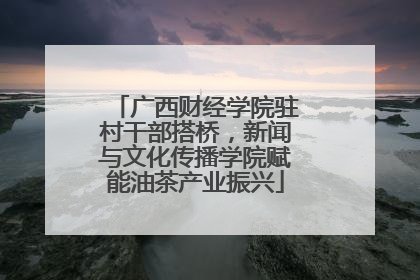广西财经学院驻村干部搭桥，新闻与文化传播学院赋能油茶产业振兴