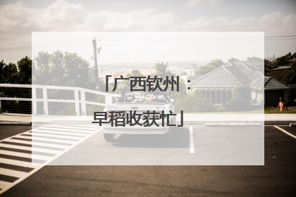广西钦州：早稻收获忙
