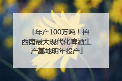 年产100万吨！鲁西南最大现代化啤酒生产基地明年投产
