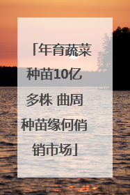 年育蔬菜种苗10亿多株 曲周种苗缘何俏销市场