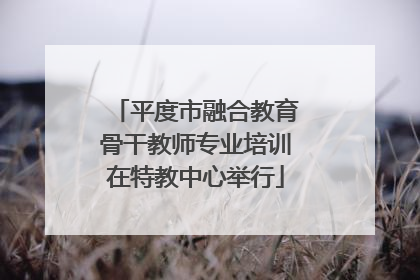 平度市融合教育骨干教师专业培训在特教中心举行