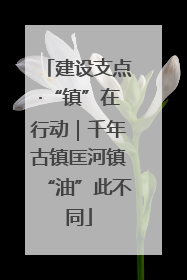 建设支点·“镇”在行动｜千年古镇匡河镇“油”此不同