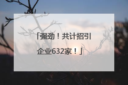 强劲！共计招引企业632家！