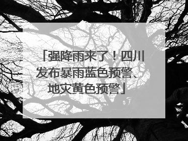 强降雨来了！四川发布暴雨蓝色预警、地灾黄色预警