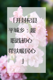 开封杞县平城乡：履职践初心 帮扶暖民心