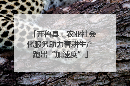 开鲁县：农业社会化服务助力春耕生产跑出“加速度”
