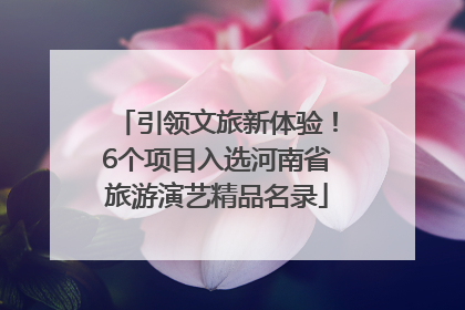 引领文旅新体验！6个项目入选河南省旅游演艺精品名录