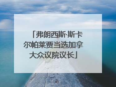 弗朗西斯·斯卡尔帕莱贾当选加拿大众议院议长