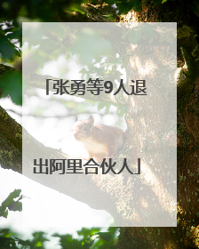 张勇等9人退出阿里合伙人