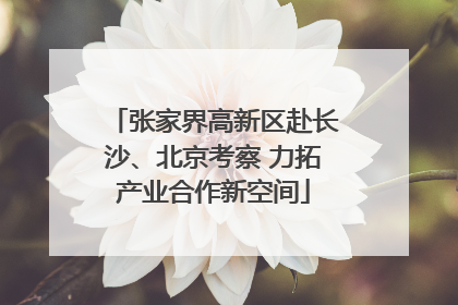 张家界高新区赴长沙、北京考察 力拓产业合作新空间