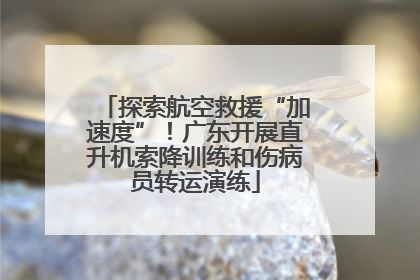 探索航空救援“加速度”！广东开展直升机索降训练和伤病员转运演练