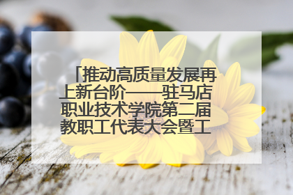 推动高质量发展再上新台阶——驻马店职业技术学院第二届教职工代表大会暨工会会员代表大会第四次会议成功召开