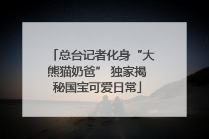 总台记者化身“大熊猫奶爸” 独家揭秘国宝可爱日常