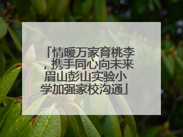 情暖万家育桃李，携手同心向未来 眉山彭山实验小学加强家校沟通