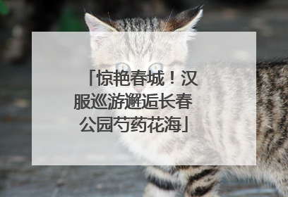 惊艳春城！汉服巡游邂逅长春公园芍药花海