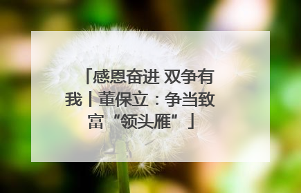 感恩奋进 双争有我丨董保立：争当致富“领头雁”