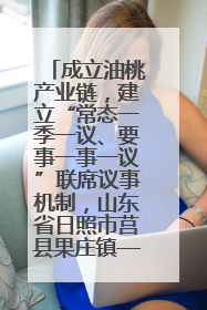 成立油桃产业链，建立“常态一季一议、要事一事一议”联席议事机制，山东省日照市莒县果庄镇——13个党小组“全周期”育果