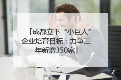 成都立下“小巨人”企业培育目标：力争三年新增350家