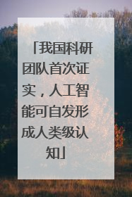 我国科研团队首次证实，人工智能可自发形成人类级认知