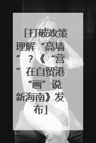 打破政策理解“高墙”？《“营”在自贸港 “画”说新海南》发布