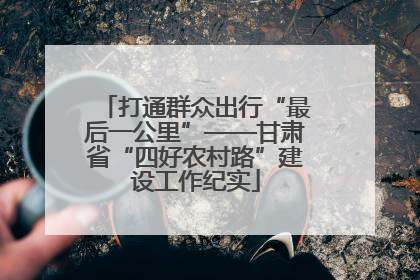 打通群众出行“最后一公里”——甘肃省“四好农村路”建设工作纪实