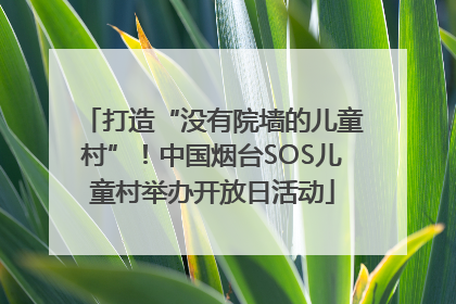 打造“没有院墙的儿童村”!中国烟台SOS儿童村举办开放日活动
