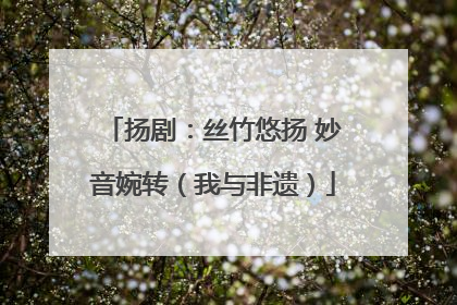 扬剧：丝竹悠扬 妙音婉转（我与非遗）