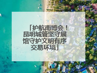 护航南博会！昆明城管坚守展馆守护文明有序交易环境