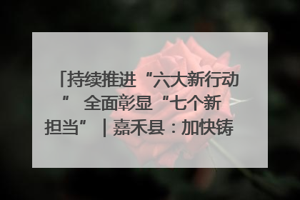 持续推进“六大新行动 ” 全面彰显“七个新担当”｜嘉禾县：加快铸造行业提档升级 助力绿色高质量发展