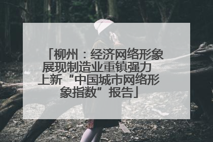 柳州：经济网络形象展现制造业重镇强力 上新“中国城市网络形象指数”报告