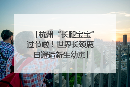 杭州“长腿宝宝”过节啦！世界长颈鹿日邂逅新生幼崽