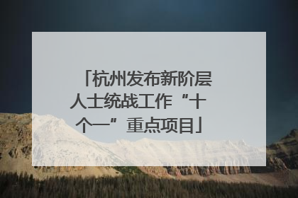 杭州发布新阶层人士统战工作“十个一”重点项目