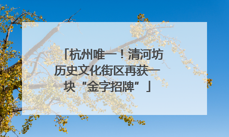 杭州唯一！清河坊历史文化街区再获一块“金字招牌”