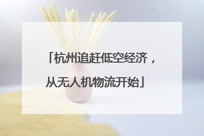 杭州追赶低空经济，从无人机物流开始