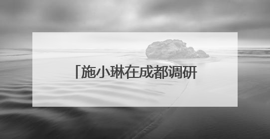 施小琳在成都调研推进省委十二届七次全会精神贯彻落实工作 共同推动文旅深度融合高质量发展 加快打造支柱产业民生产业幸福产业