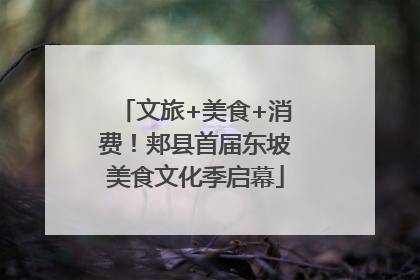 文旅+美食+消费！郏县首届东坡美食文化季启幕