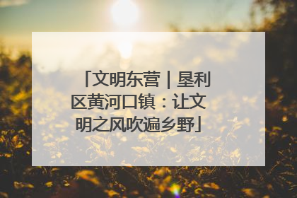 文明东营｜垦利区黄河口镇：让文明之风吹遍乡野