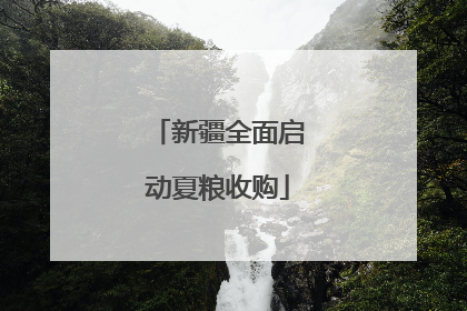 新疆全面启动夏粮收购