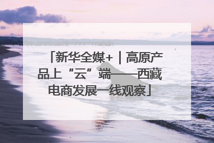 新华全媒+｜高原产品上“云”端——西藏电商发展一线观察