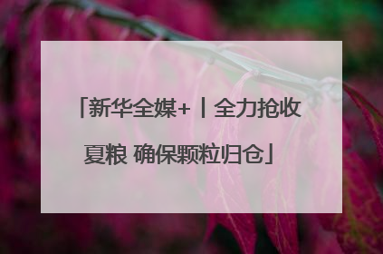 新华全媒+丨全力抢收夏粮 确保颗粒归仓