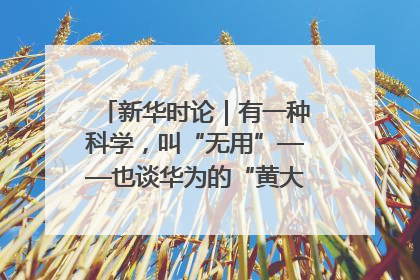 新华时论｜有一种科学，叫“无用”——也谈华为的“黄大年茶思屋”