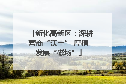 新化高新区：深耕营商“沃土” 厚植发展“磁场”