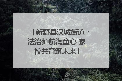 新野县汉城街道：法治护航润童心 家校共育筑未来