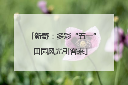 新野：多彩“五一” 田园风光引客来