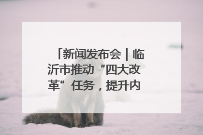 新闻发布会｜临沂市推动“四大改革”任务，提升内部审计监督效能