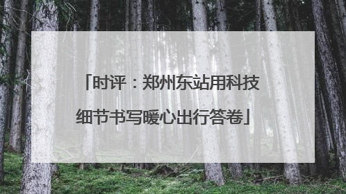 时评：郑州东站用科技细节书写暖心出行答卷