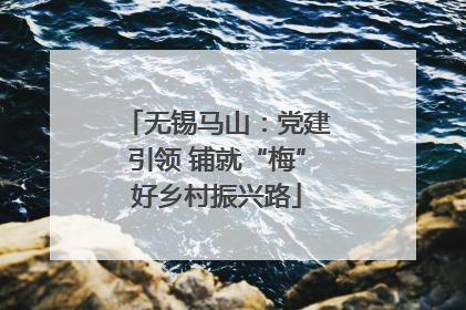 无锡马山：党建引领 铺就“梅”好乡村振兴路