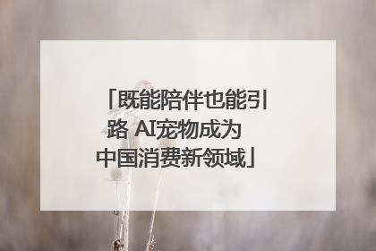 既能陪伴也能引路 AI宠物成为中国消费新领域