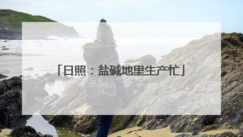 日照：盐碱地里生产忙